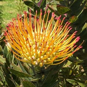 Meet your Posher, Michemichelle m.